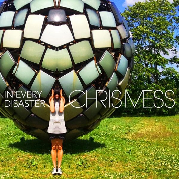 Cover art for In Every Disaster